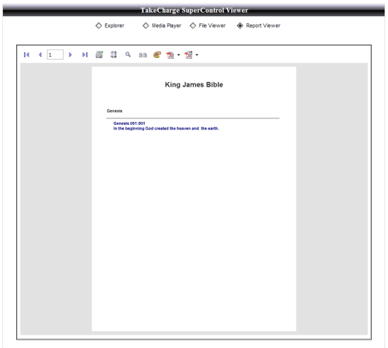 Repoprt Previewer 01